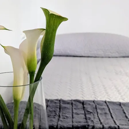 Casa En El Camino De Santiago En Holiday home *